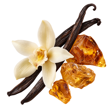 Translation missing: el.AMBRE CAFE’ base notes — vanilla and amber