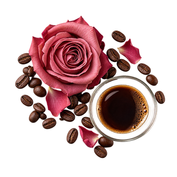 Translation missing: el.AMBRE CAFE’ heart notes — coffee and rose