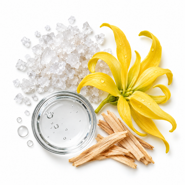 Fresh & Vibrant – sea salt, ylang-ylang and sandalwood