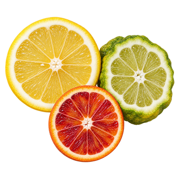 Translation missing: el.NARGHILÈ top notes: lemon, blood orange and bergamot viewed from above