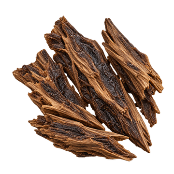 Translation missing: el.OUD base notes: dark aged agarwood viewed from above