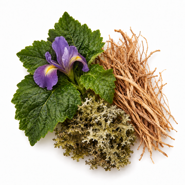 Patchouli, iris, vetiver and oakmoss