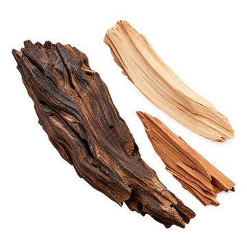 Translation missing: el.VESEVO base notes — overhead oud and woods