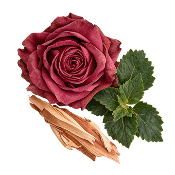 Translation missing: el.CINIS heart notes: rose, patchouli and cedar viewed from above