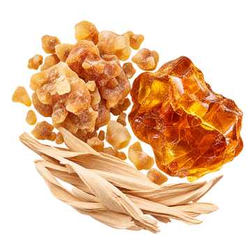 Translation missing: el.MILK RHUM base notes: benzoin, amber and sandalwood viewed from above