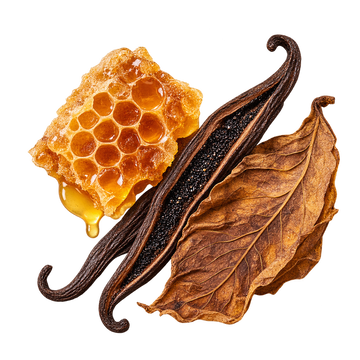Translation missing: el.NARGHILÈ base notes: honey, vanilla and tobacco viewed from above