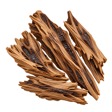 Translation missing: el.OUD heart notes: resin-rich agarwood viewed from above