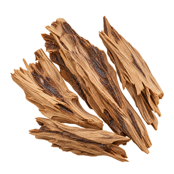 Translation missing: el.OUD top notes: light resin-veined agarwood viewed from above