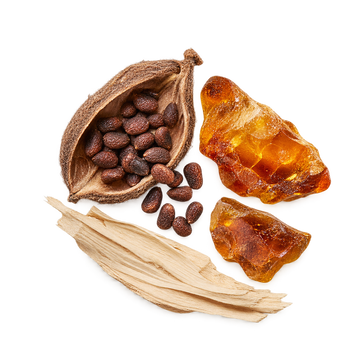 Translation missing: el.RADIO BAMBOO base notes — overhead ambrette seeds, amber and white wood
